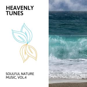 Heavenly Tunes - Soulful Nature Music, Vol.4