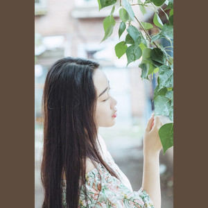 学不会-董美文