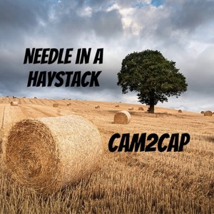 Needle In A Haystack