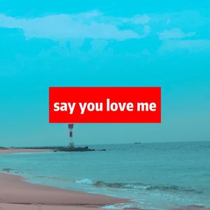 say you love me