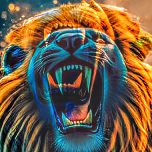 No Pat Sajak (feat. Billy Blocka & 50Shad3z) (Explicit)