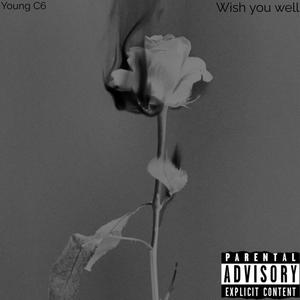 Wish You Well (Explicit)