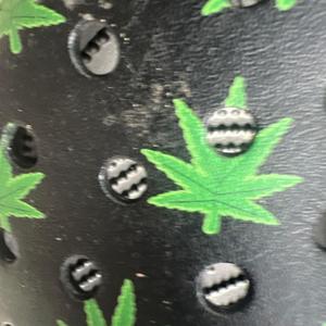 Acapella? (  Freestyle ) (Explicit)