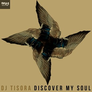 Discover My Soul (Remixes)