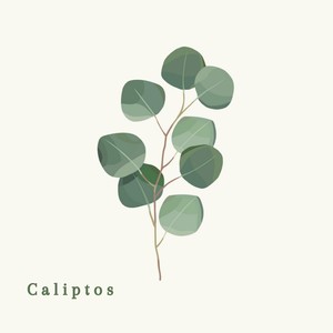 Caliptos(feat. Steve Schofield)