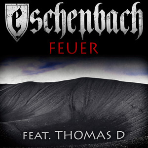 Feuer (feat. Thomas D.)