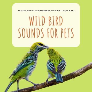 Wild Bird Sounds for Pets: Nature Music to Entertain your Cat, Dog & Pet