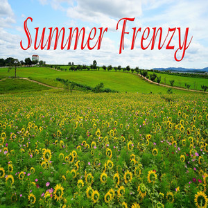 Summer Frenzy