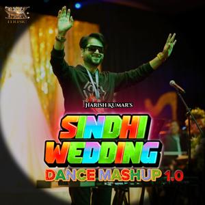 SINDHI WEDDING DANCE Mashup 1.0 by Harish Kumar