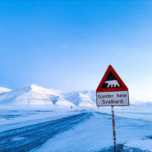 去北极忘记你-陈宥远