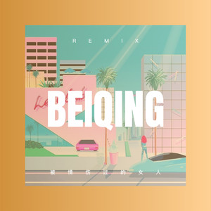 别再来梦里 (Remix)封面