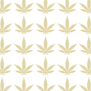 Snow Strippers - Insane Like Me