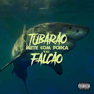 TUBARAO METE COM FORÇA VAI FALCAO METE COM FORÇA (Explicit)