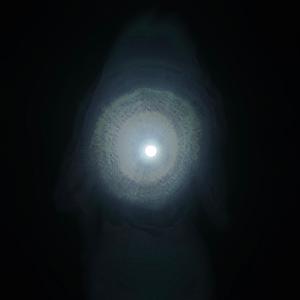 Gaia and the Moon
