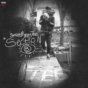 Section 8 (Explicit)