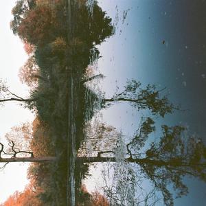 Kingdom (feat. Ari Folman-Cohen, Ran Livneh, Michael Isvara Montgomery & Scott Colberg)