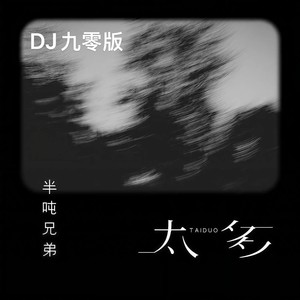 半吨兄弟 - 太多 (DJ九零版)