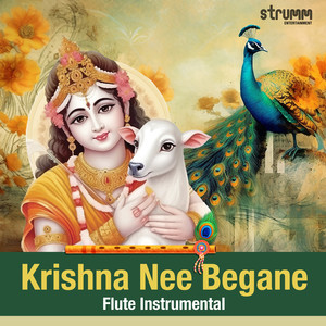 Krishna Nee Begane (Flute Instrumental)