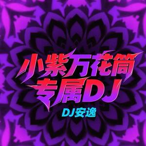 小紫万花筒专属DJ