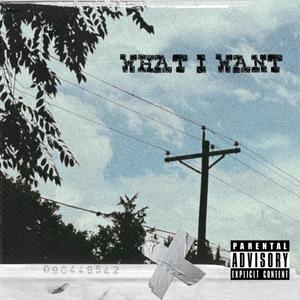 WHAT I WANT (Explicit)