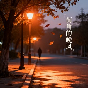 街角的晚风-DJ小多