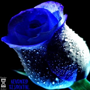 Blatantly Disagree(feat. residential.) (Explicit)