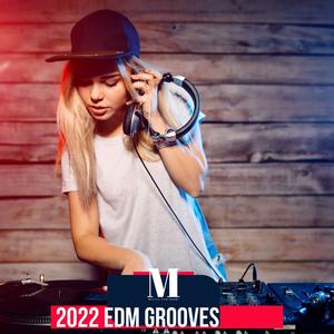 2022 EDM Grooves