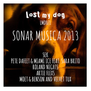 Sonar Musica 2013