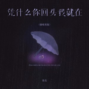 凭什么你回头我就在 (烟嗓男版)