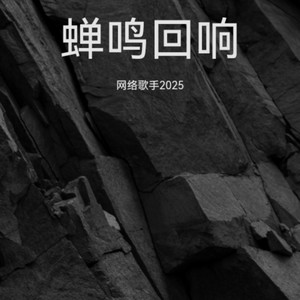 WAV文件_蝉鸣回响_53340242538045957_1759486662246