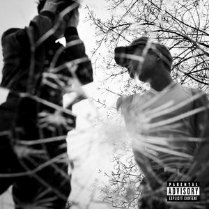 TYPISKT DE (Explicit)