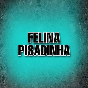 Felina Pisadinha