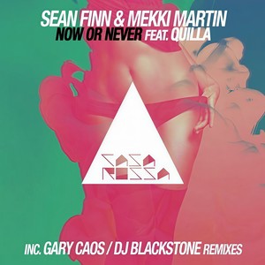 Now or Never (Radio Edit)