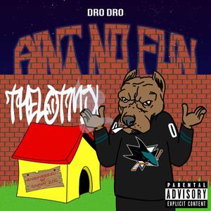 Ain't No Fun (Explicit)