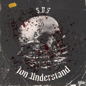 Ion Understand (Explicit)