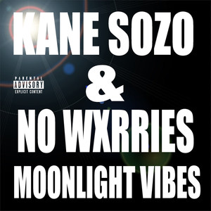 Moonlight Vibes (Explicit)