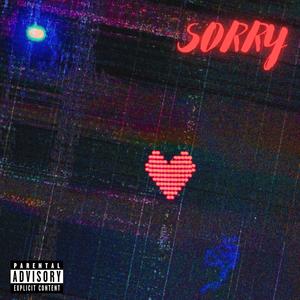 Sorry (feat. RJAE) (Explicit)