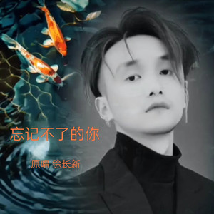 忘记不了的你