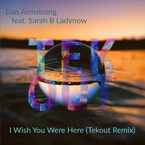 I Wish You Were Here (feat. SarahB LadyBnow) [Tekout Remix]