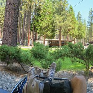 Ghost in the Machine