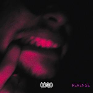 CHILLOUTDAVE77 - GOIN INSANE (BONUS TRACK) (feat. YNS KAY) (Explicit)