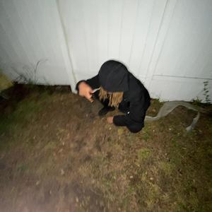 Superman (Nstlga) (Explicit)