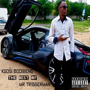 The Best Of Mr TriggerMan (Explicit)