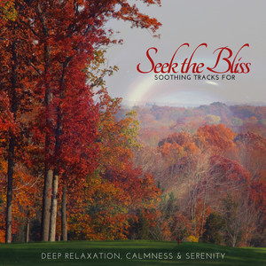 Seek The Bliss - Soothing Tracks For Deep Relaxation, Calmness & Serenity