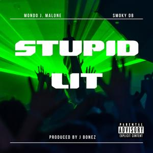 Stupid Lit (feat. SmokyDB) [Explicit]