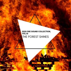 The Forest Shines - 2020 Fire Sound Collection, Vol.10