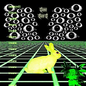 insanemachin3 (feat. NearZ) (speed up + reverb)