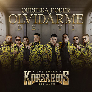 Quisiera Poder Olvidarme De Ti