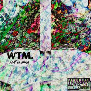 wtm. (feat. RLN Lil Banga) [Explicit]