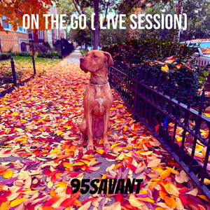 On the Go ( Live Session)